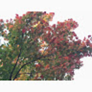 Meet your Posher, Bernadette